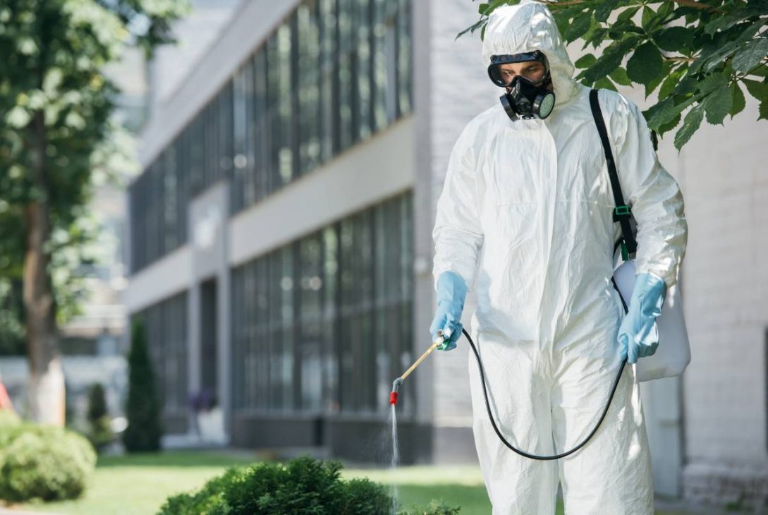 What is pest management