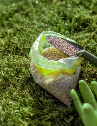 Fertilizer for grass growth in granules with gloves and scoop on the grass