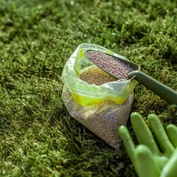 Fertilizer for grass growth in granules with gloves and scoop on the grass