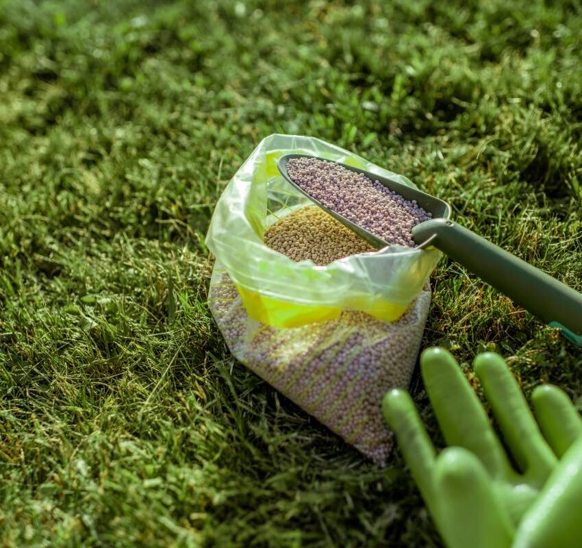 Fertilizer for grass growth in granules with gloves and scoop on the grass