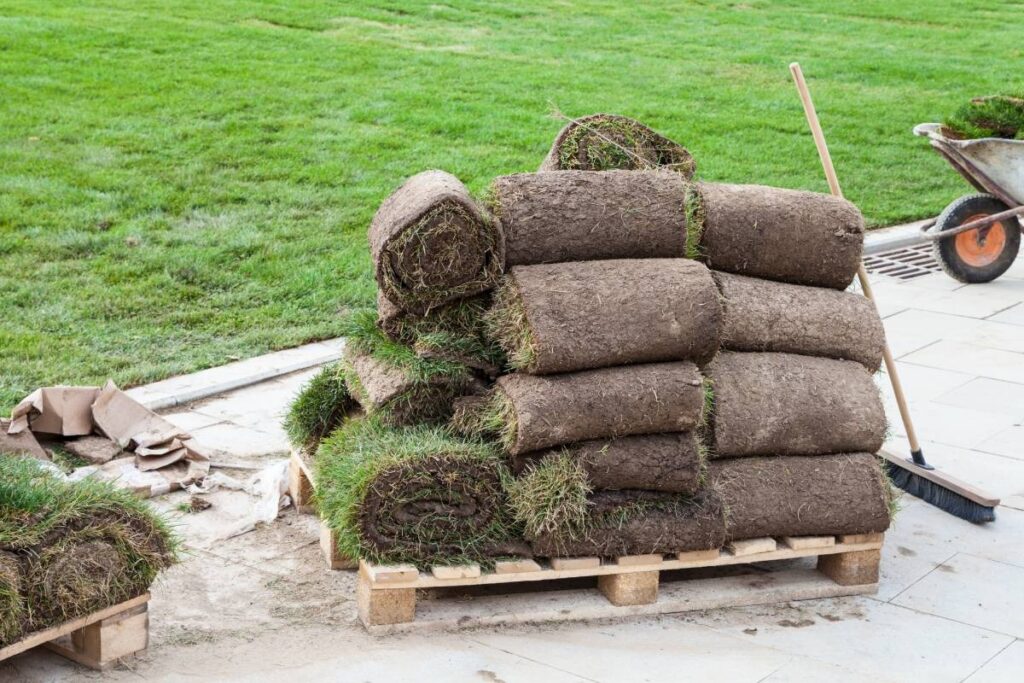 freshly-harvested-turf-rolls-australian-farm