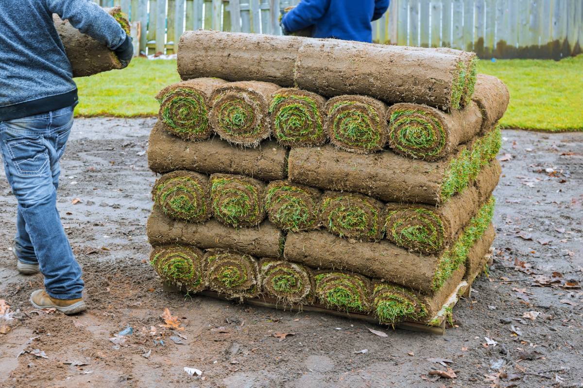 How to Choose a Turf Company (Without Getting Ripped Off)