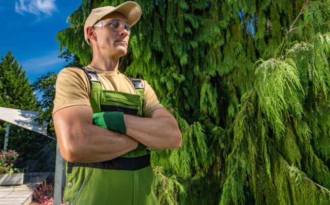 A man in a tan shirt and green overalls stands with his arms crossed. He gazes into the distance while positioned next to a large green tree. The sun is shining, and the setting is a well-kept yard.
