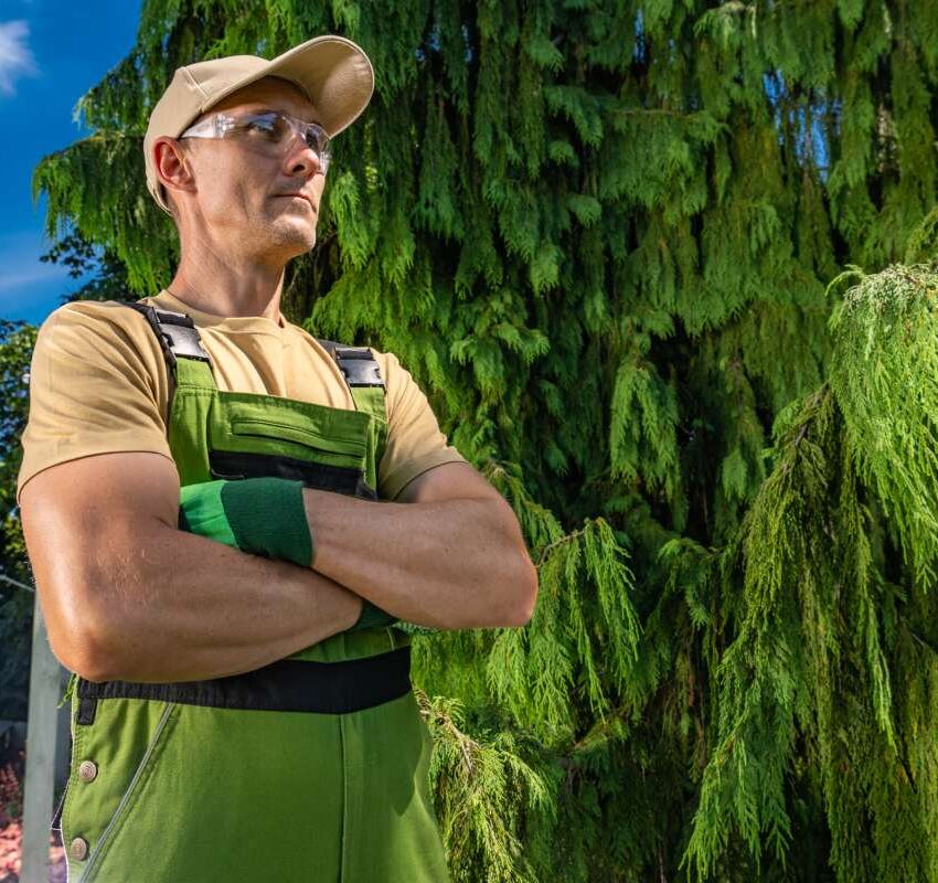 A man in a tan shirt and green overalls stands with his arms crossed. He gazes into the distance while positioned next to a large green tree. The sun is shining, and the setting is a well-kept yard.