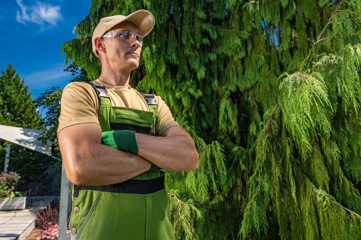 How to Choose a Tree Service: A Homeowner’s Due Diligence Guide